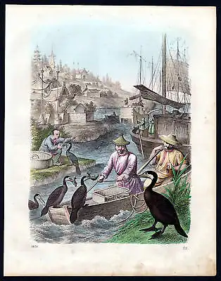 1858 Kormoran cormorant Fischfang Fischen fishing Lithographie lithograph