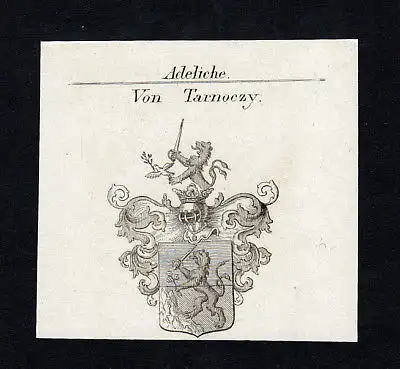 1820 Tarnoczy Maximilian Joseph Wappen Adel coat of arms Kupferstich engraving