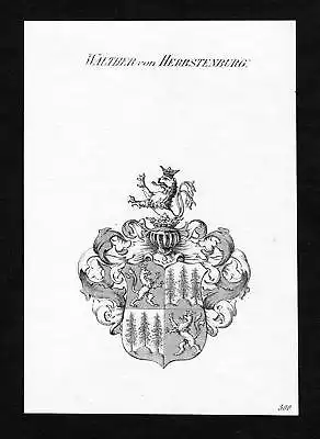 Ca.1820 Walther zu Herbstenburg Wappen Adel coat of arms Kupferstich antique