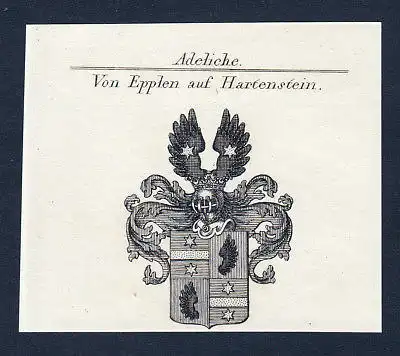 Ca. 1820 Epplen Hartenstein Wappen Adel coat of arms Kupferstich antique print