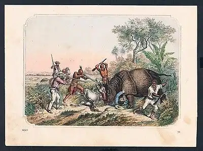 1863 - Jagd hunting Nashorn Rhinozeros Afrika Africa engraving Stahlstich