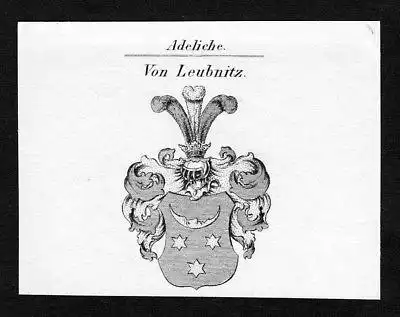 Ca. 1820 Leubnitz Wappen Adel coat of arms Kupferstich antique print hera 136696