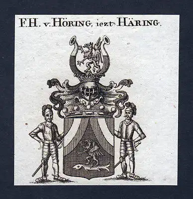 Ca. 1820 Höring Häring Wappen Adel coat of arms Kupferstich antique print