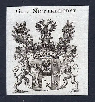 1820 Nettelhorst Westfalen Wappen Adel coat of arms Kupferstich engraving