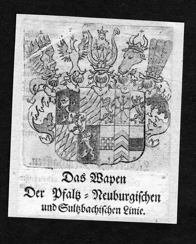 1750 - Pfalz-Sulzbach Wappen Adel coat of arms heraldry Heraldik Kupferstich