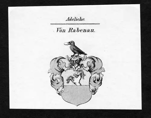 Ca. 1820 Rabenau Wappen Adel coat of arms Kupferstich antique print heral 136710