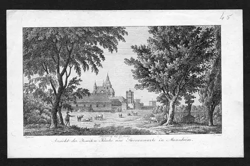 Um 1820 Mannheim Jesuitenkirche Sternwarte Kupferstich antique print Grape