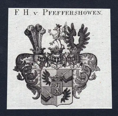 Ca.1820 Pfeffershowen Pfeffershofen Wappen Adel coat of arms Kupferstich antique