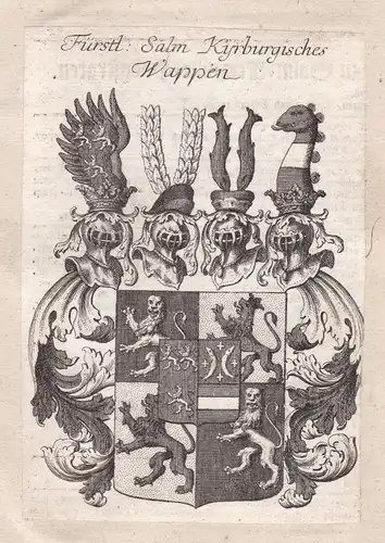 Salm Salm-Kyrburg Westfalen Adel Wappen coat of arms Kupferstich antique print