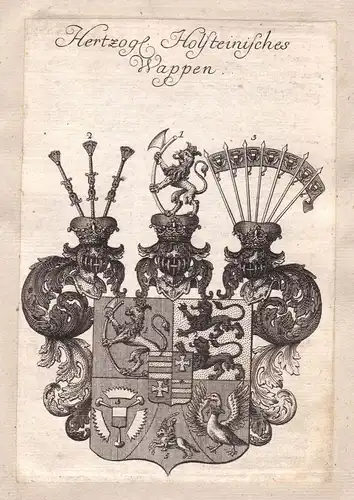 Holstein Schleswig-Holsteins Adel Wappen coat of arms Kupferstich antique print