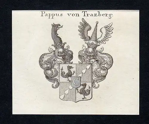 1820 Trazberg Tratzberg Pappus Wappen Adel coat of arms Kupferstich engraving