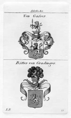1820 - Grasser Gradinger Wappen Adel coat of arms heraldry Heraldik Kupferstich