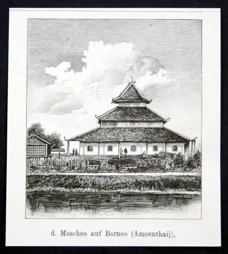 1880 Moschee aus Borneo (Amoenthaij) Asien Asia Amuntai Indonesien antique print