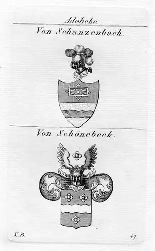 1820 Schanzenbach Schönebeck Wappen coat of arms heraldry Heraldik Kupferstich