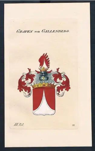 1830 - Grafen von Gallenberg Wappen Kupferstich Genealogie Heraldik coat of arms