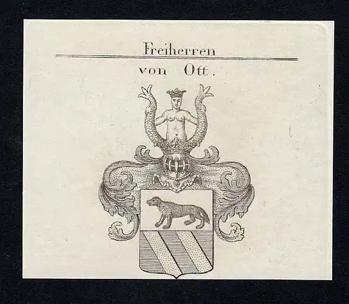 1820 Ott Wappen Adel coat of arms heraldry Heraldik Kupferstich engraving