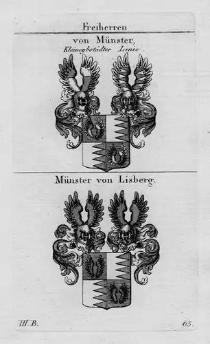 1820 - Münster Lisberg Wappen Adel coat of arms heraldry Heraldik  Kupferstich