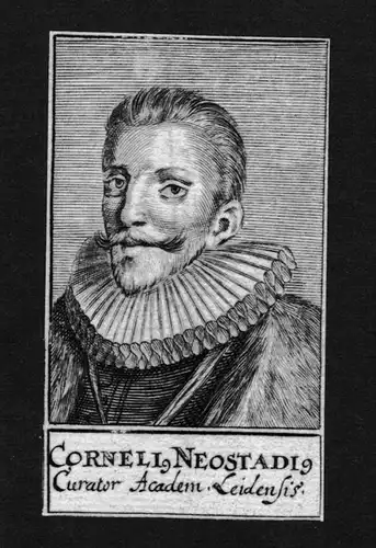 1680 - Cornelius Neostadius Jurist lawyer Leiden Holland Kupferstich Portrait