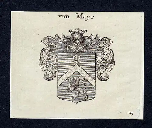 1820 Mayr Meyer Meier Maier Mayer Wappen Adel coat of arms Kupferstich engraving