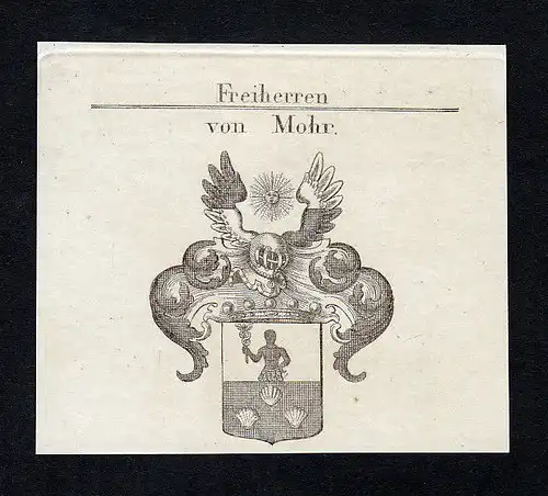 1820 Johann Friedrich Mohr Wappen Adel coat of arms Kupferstich engraving