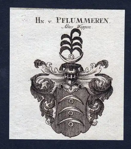 Ca. 1820 Pflummeren Pflummern Wappen Adel coat of arms Kupferstich antiqu 143416
