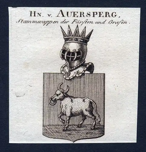 1820  Auersperg Österreich Wappen Adel coat of arms Kupferstich engraving