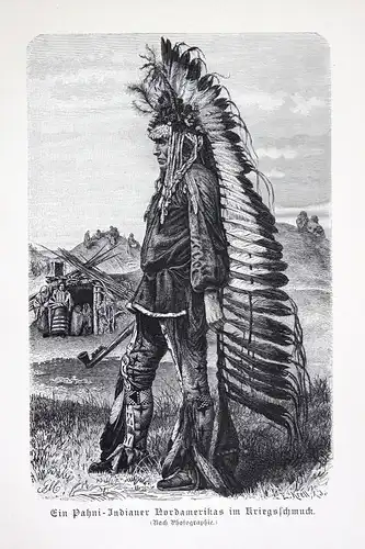 1890 Pawnee Pani Indianer Indian Amerika America United States Krieger warrior