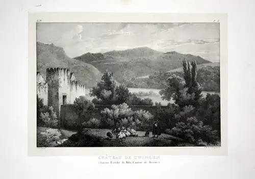 1824 Zwingen Schloss Kanton Basel - Schweiz Suisse Lithographie Villeneuve.