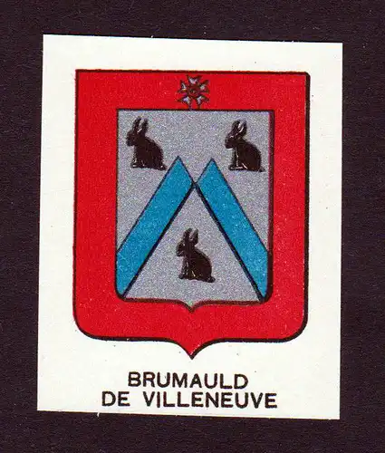 Ca. 1880 Brumauld de Villeneuve Wappen Adel coat of arms heraldry Lithogr 146255