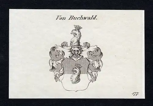 1820 Buchwald Buchwaldt Wappen Adel coat of arms Kupferstich engraving