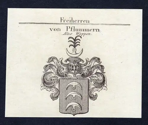 1820 Karl Pflummern Wappen Adel coat of arms Heraldik Kupferstich engravi 140636
