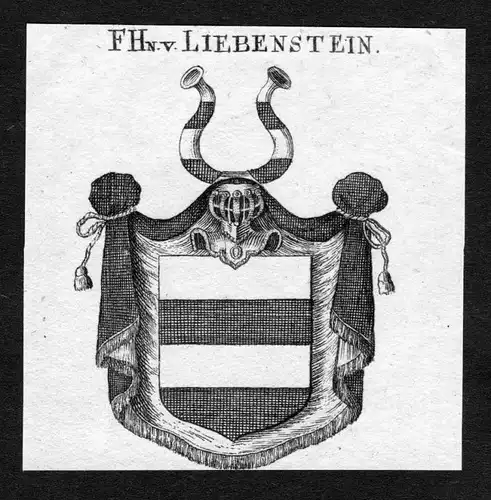 1820 - Liebenstein Wappen Adel coat of arms heradlry Heraldik Kupferstich