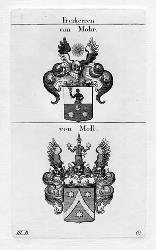 Mohr Moll - Wappen Adel coat of arms heraldry Heraldik Kupferstich