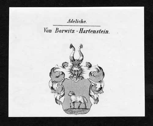 Ca. 1820 Bowitz Hartenstein Wappen Adel coat of arms Kupferstich antique print