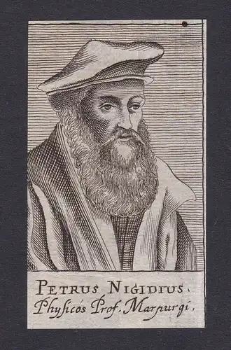 17. Jh. Peter Nigidius / philosopher Philosoph Marburg Portrait Kupferstich