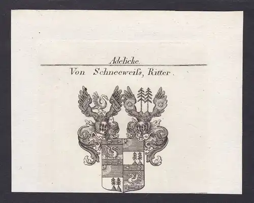 Schneeweiß Österreich Austria Wappen Adel coat of arms Kupferstich antique print