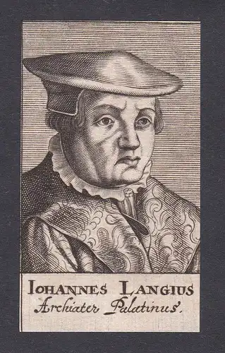 17. Jh. Johannes Lange / doctor Arzt Mediziner Pfalz Portrait Kupferstich