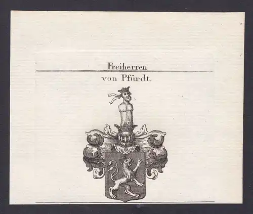 Pfirt Pfirdt Ferrette Österreich Austria Wappen Adel coat of arms Kupferstich