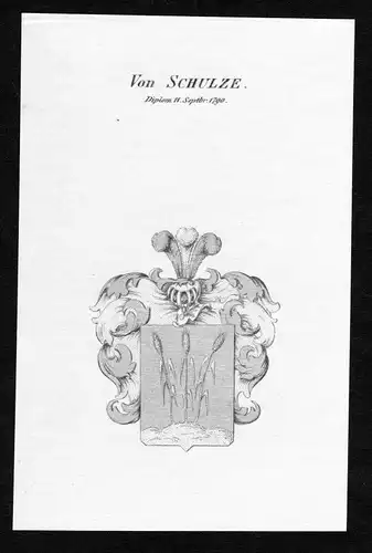 Ca. 1820 Schulze Wappen Adel coat of arms Kupferstich antique print heraldry
