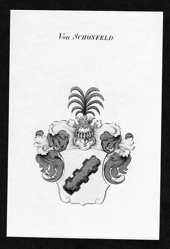 Ca. 1820 Schönfeld Schoenfeld Wappen Adel coat of arms Kupferstich antique print