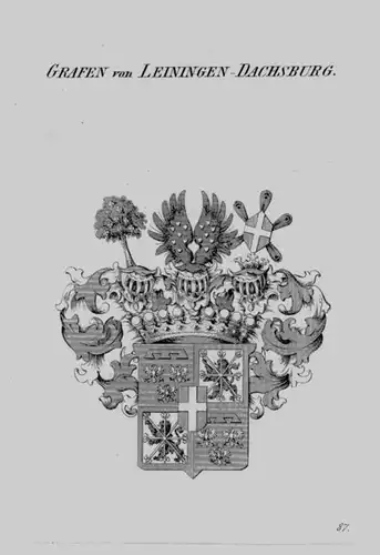 1820 Leiningen Dachsburg Wappen Adel coat of arms heraldry Heraldik Kupfer 75436