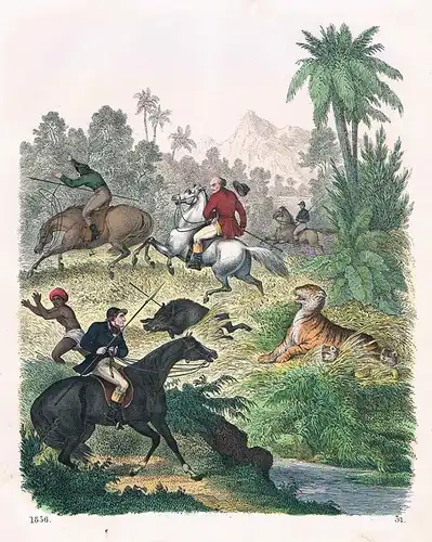 1856 - Jagd Tiger Indien India Jäger hunting Lithographie lithography