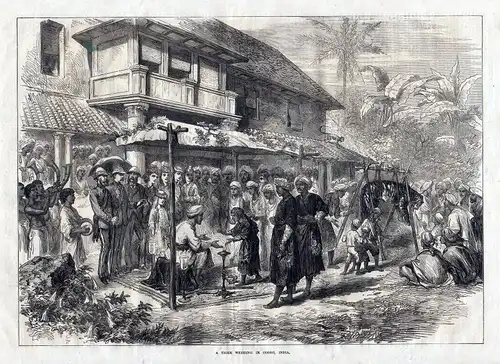 1873 A tiger wedding in Coorg, India. / Kodagu / Indien / Südasie antique print
