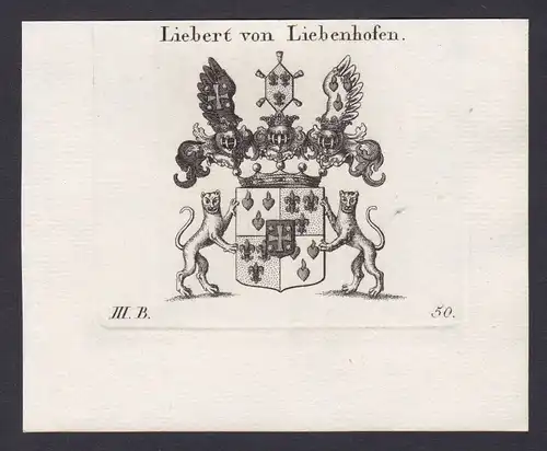 1820 Johann Adam Liebert Liebenhofen Wappen Adel coat of arms Kupferstich