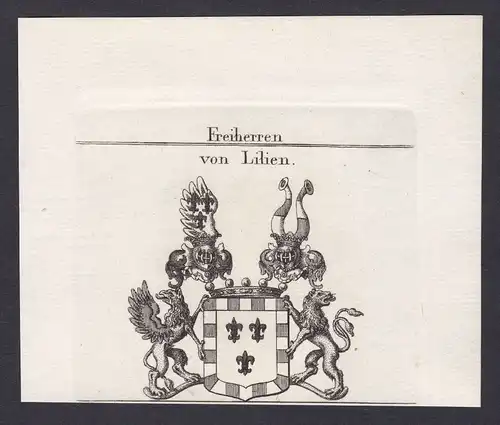 1820 Lilien Westfalen Wappen Adel coat of arms Kupferstich antique print