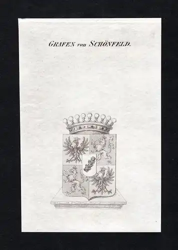 Ca. 1820 Schönfeld Schönfeldt Wappen Adel coat of arms Kupferstich antique print
