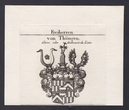 1820 Thüngen Franken Wappen Adel coat of arms heraldry Heraldik Kupferstich