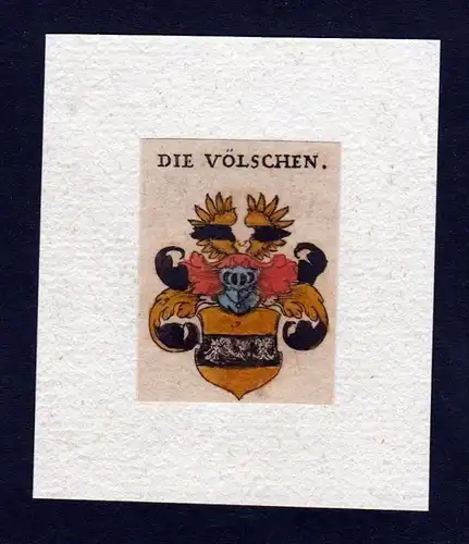 17. Jh. von Völschen Wappen Adel coat of arms heraldry Heraldik Kupferstich