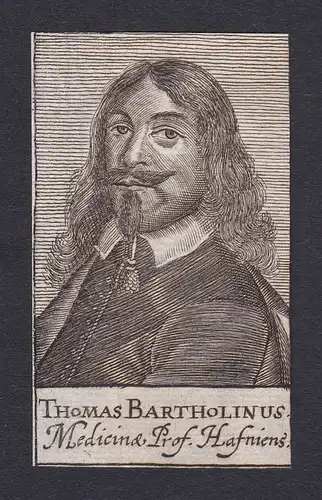 17. Jh. - Thomas Bartholin / physician Arzt Copenhagen Portrait Kupferstich