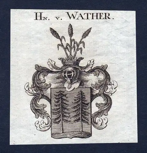 1820 Walther Walter Wappen Adel coat of arms Heraldik Kupferstich engraving